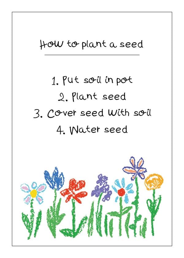 A drawing of some flowers with four steps to planting a seed.
