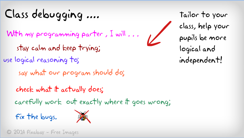 An image of a class debugging agreement, for pupils to follow.