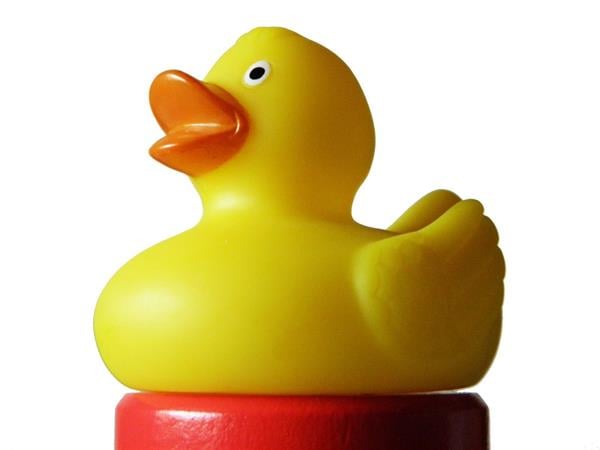 A photo of a rubber duck.